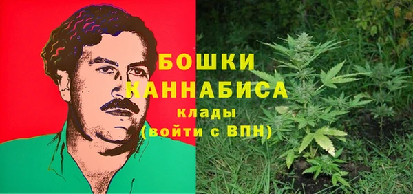 гидра Нея