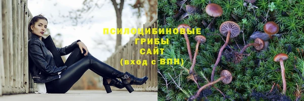 гидропоника Нефтекумск