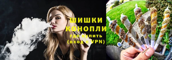молекула духа Надым
