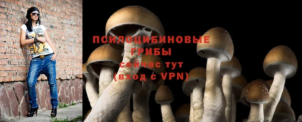 2c-b Нефтегорск