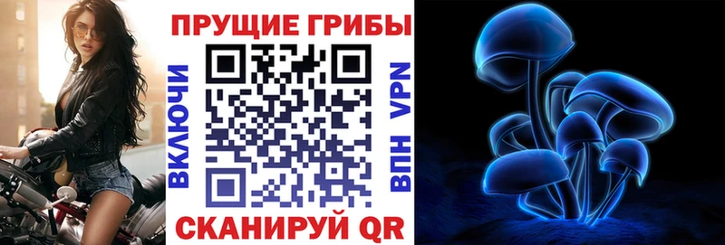 Галлюциногенные грибы мухоморы  купить наркотик  Миллерово 