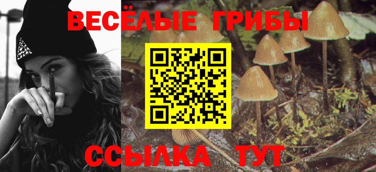 Миллерово  Галлюциногенные грибы Psilocybine cubensis  Вход с VPN 